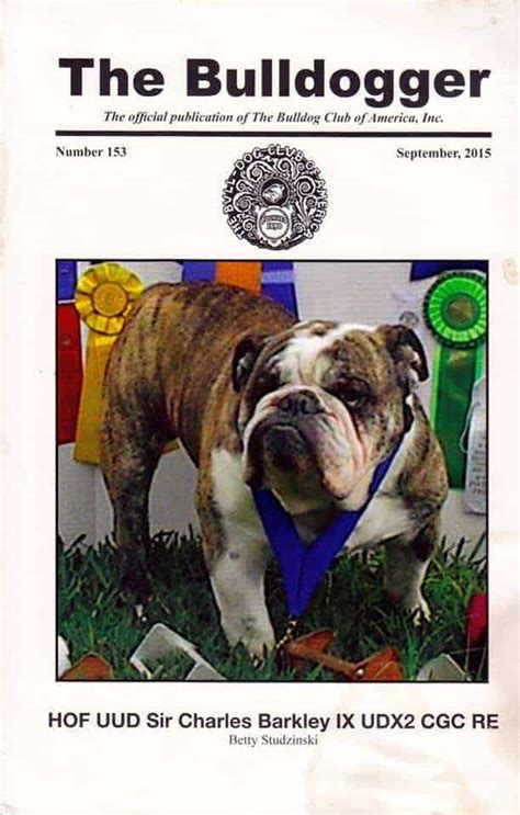 bulldogwager|The Bulldogger .
